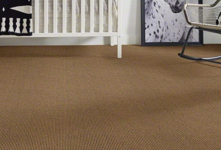 Anderson Tuftex carpet